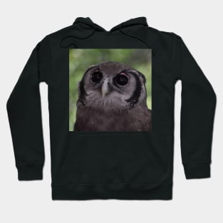 Milky Eagle Owl Hoodie